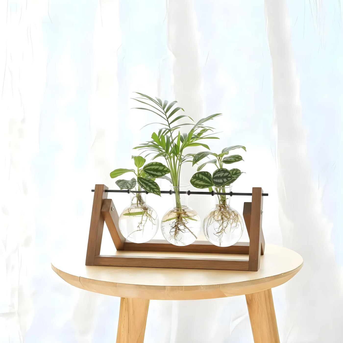 Hydroponic Glass Vases